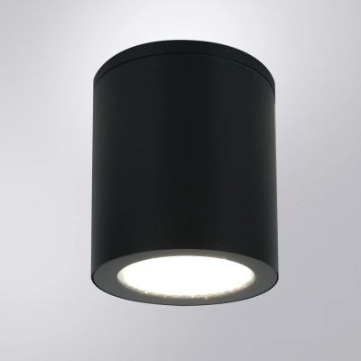 Уличный потолочный светильник Arte Lamp TORCULAR A1813PF-1BK