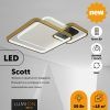 Люстра потолочная Lumion Scott 5243/59CL