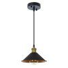 Подвесной светильник Arte Lamp CAPPELLO A7037SP-1BK