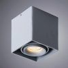 Точечный накладной светильник Arte Lamp PICTOR A5654PL-1GY