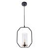 Подвесной светильник Arte Lamp CELAENO A7004SP-1BK