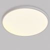 Светильник светодиодный настенно-потолочный Arco Eco Lightstar 225751