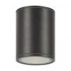 Уличный потолочный светильник Outdoor O306CL-L12GF