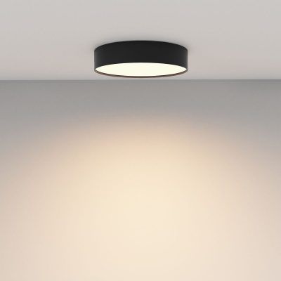 Потолочный светильник Technical C032CL-36W3K-RD-B