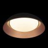10229 Black Потолочный светильник LOFT IT Cappello