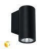 Фасадный светильник Arte Lamp TORCULAR A1307AL-1BK