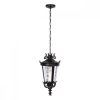 100003P Уличный подвесной светильник LOFT IT Verona