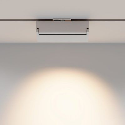 Трековый светильник Technical TR223-1-12WCCT-W-W