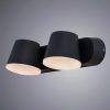 Уличный настенный светильник Arte Lamp CHICO A2212AL-2BK