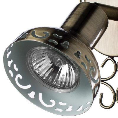 Спот Arte Lamp FOCUS A5219AP-1BR