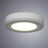 Потолочный светильник Arte Lamp ANTARES A7816PL-2WH