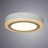 Потолочный светильник Arte Lamp ANTARES A7816PL-2WH