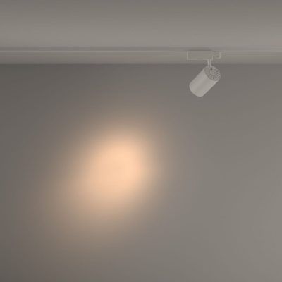 Трековый светильник Technical TR029-3-20W3K-S-W