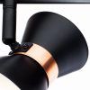 Спот Arte Lamp BALTIMORE A1406AP-2BK