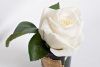 96CN-RB41 Диффузор Роза белая (Rose Bud White), спрей Старинная роза (Rose Oud) 5мл в упаковке