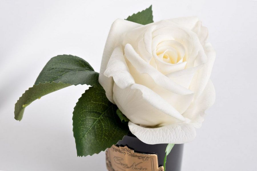 96CN-RB41 Диффузор Роза белая (Rose Bud White), спрей Старинная роза (Rose Oud) 5мл в упаковке