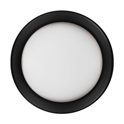 10202 BB  Потолочный светильник  LOFT IT Coin
