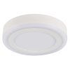 Потолочный светильник Arte Lamp ANTARES A7816PL-2WH