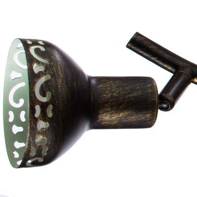Спот Arte Lamp FOCUS A5219PL-4BR