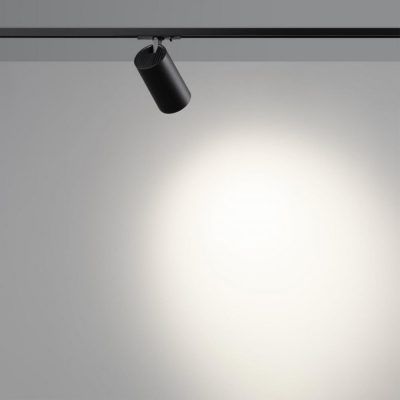 Светильник однофазный двухжильный трековый светодиодный Novotech Selene 359919