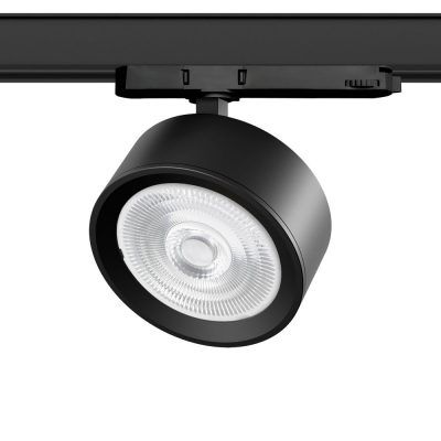 Светильник Alta Pro Lightstar A5647QT60G