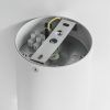 Светильник точечный накладной декоративный Binoco Lightstar 052016