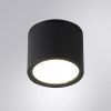 Уличный потолочный светильник Arte Lamp PIAUTOS A1913PF-1BK