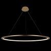 10014XXL Подвесной светильник LOFT IT Ring