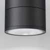 Уличный потолочный светильник Outdoor O310CL-L12GF3K