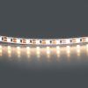 Лента светодиодная 5mm 24V Lightstar Lightstar 420563