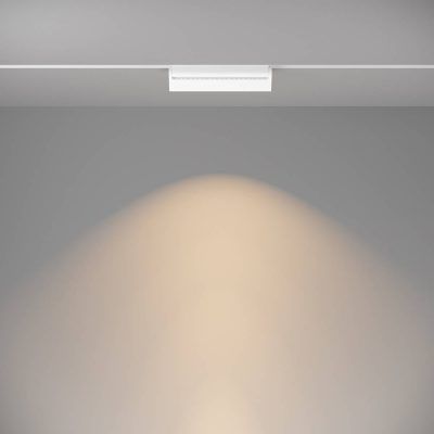 Трековый светильник Technical TR013-2-20W3K-W