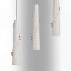 Подвес Petalo Lightstar 804310