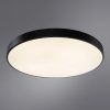 Потолочный светильник Arte Lamp ARENA A2673PL-1BK