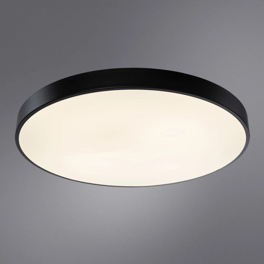 Потолочный светильник Arte Lamp ARENA A2673PL-1BK