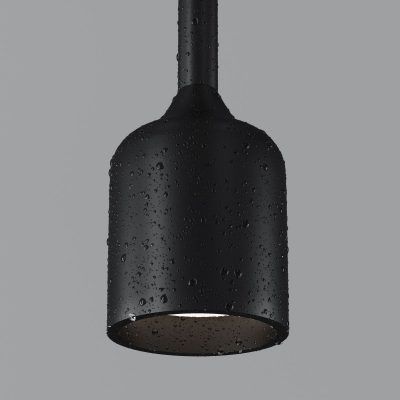 Уличный подвесной светильник Outdoor O491PL-L6B3K