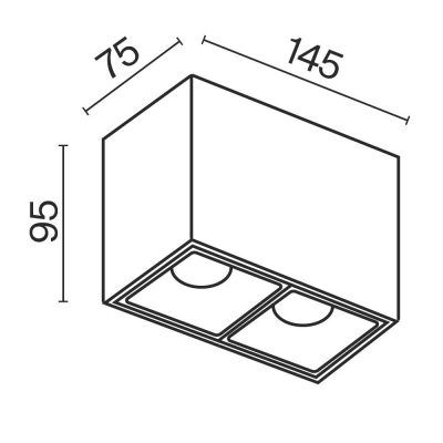 Потолочный светильник Technical C065CL-02-L12W3K-W