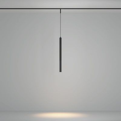 Трековый подвесной светильник Technical TR179-1-5WTW-M-B