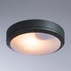 Уличный потолочный светильник Arte Lamp CITY A8154PF-2GY