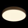 10228/A Потолочный светильник LOFT IT Flims