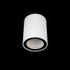 10344 White Накладной светильник LOFT IT Rush