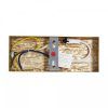Настенный светильник (бра) Freya FR6208WL-L6G
