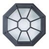 Уличный потолочный светильник Arte Lamp PEGASUS A3100PL-1BK