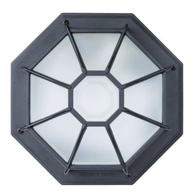 Уличный потолочный светильник Arte Lamp PEGASUS A3100PL-1BK