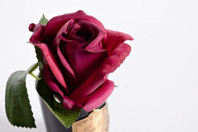 96CN-RB44 Диффузор Роза красная (Rose Bud Red), спрей Лепесток Роз (Rose Petal) 5мл в упаковке