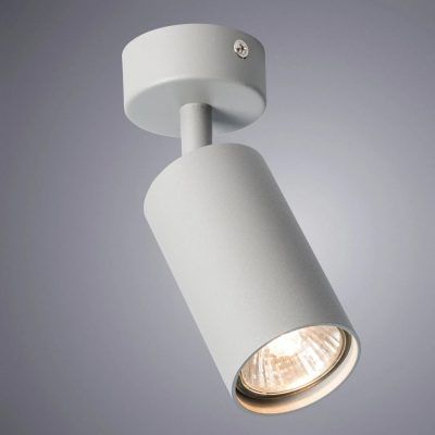 Спот Arte Lamp AQUARIUS A3216PL-1GY