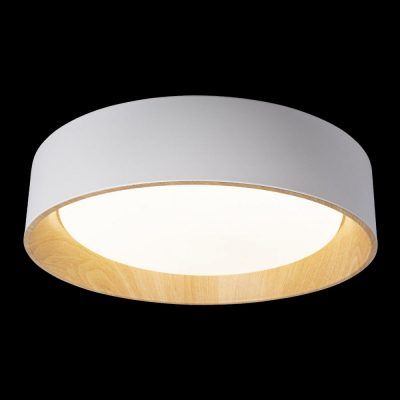 10202 White Потолочный светильник LOFT IT Coin