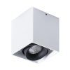 Точечный накладной светильник Arte Lamp PICTOR A5654PL-1WH