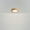 Потолочный светильник Freya FR6169CL-L25PN