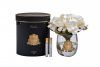 96CN-RG0005 Диффузор Белая магнолия (Magnolia white), спрей Зима (Winter in Chateau) 2*10 ml упак.