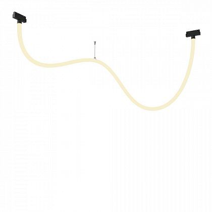 Трековый подвесной светильник Technical TR101-2-50W3K-B